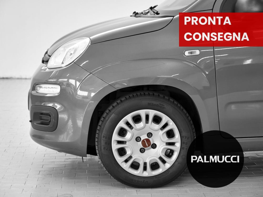 Fiat Panda usata a Prato (8)