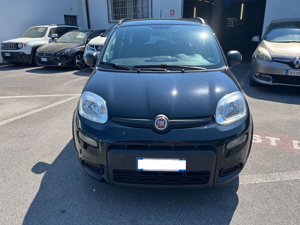 Fiat Panda usata a Lucca (2)