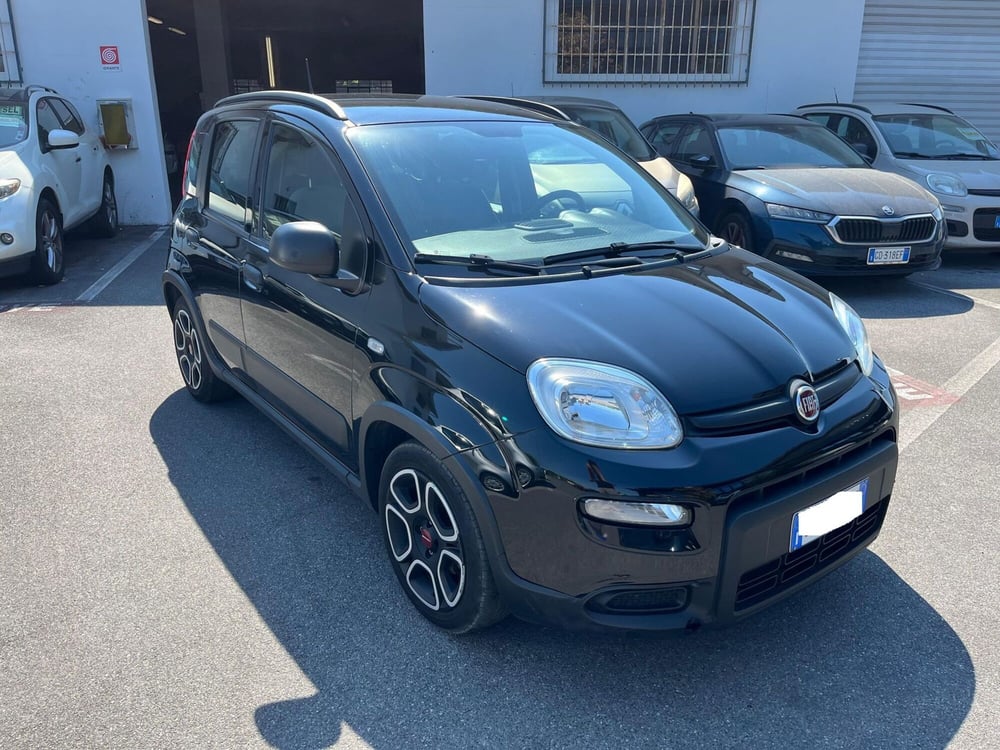 Fiat Panda usata a Lucca (3)