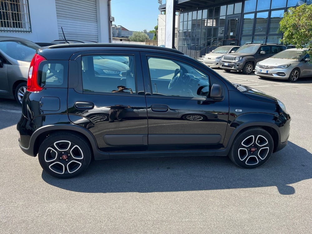 Fiat Panda usata a Lucca (4)