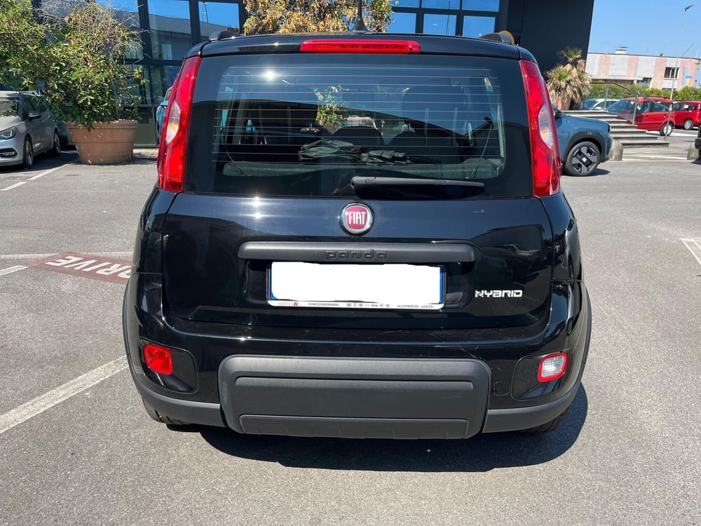 Fiat Panda usata a Lucca (6)