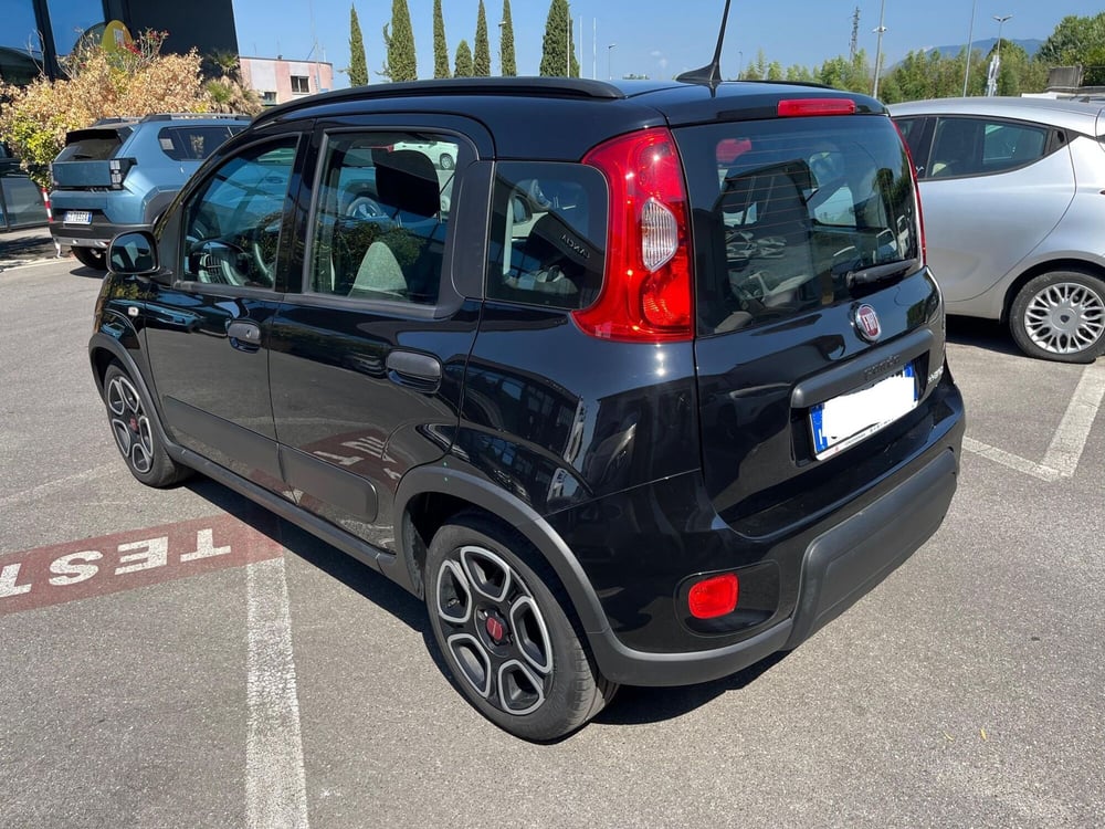 Fiat Panda usata a Lucca (7)