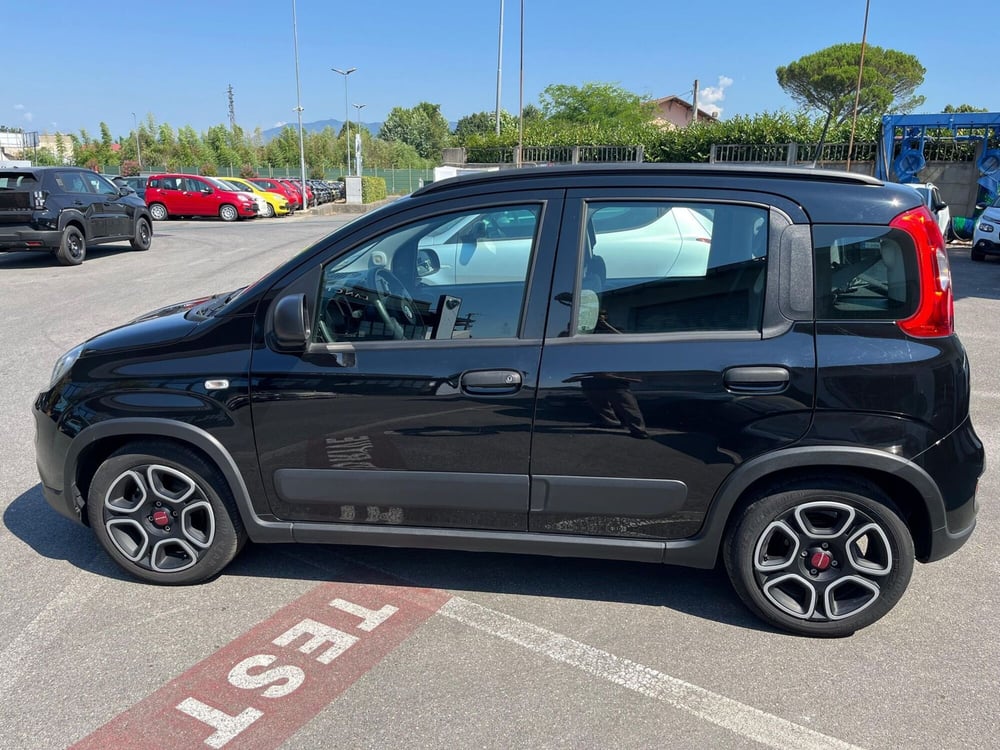 Fiat Panda usata a Lucca (8)
