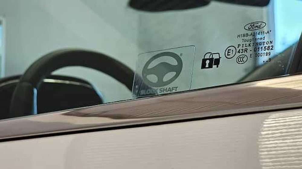 Ford Fiesta usata a Caserta (4)