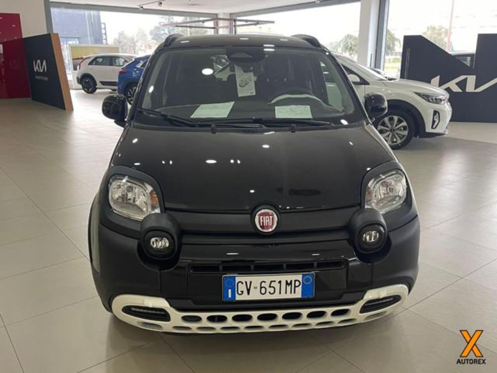 Fiat Panda nuova a Varese (2)
