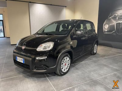 Fiat Panda 1.0 firefly hybrid s&amp;s 70cv 5p.ti nuova a Olgiate Olona
