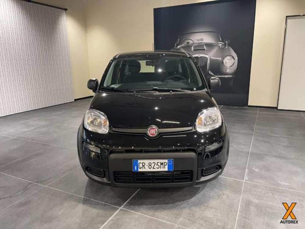 Fiat Panda nuova a Varese (2)