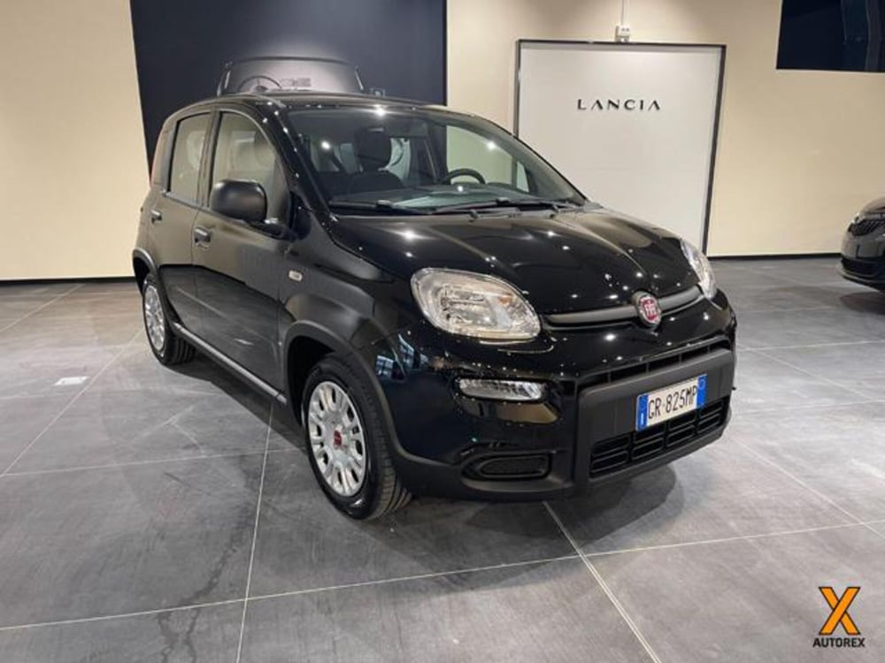 Fiat Panda nuova a Varese (3)