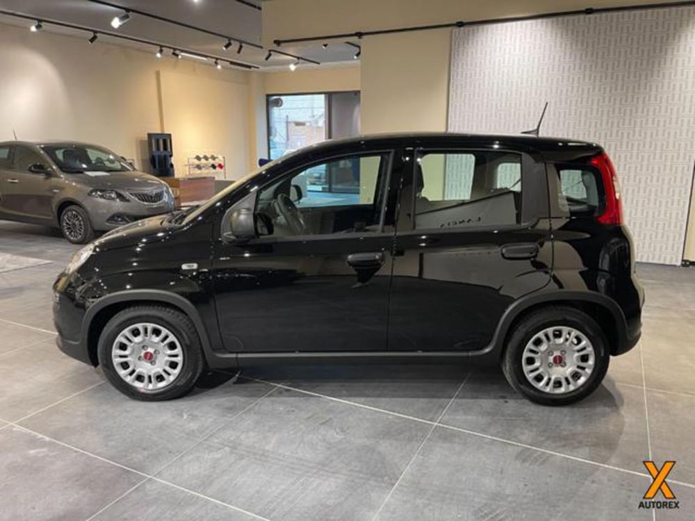 Fiat Panda nuova a Varese (4)