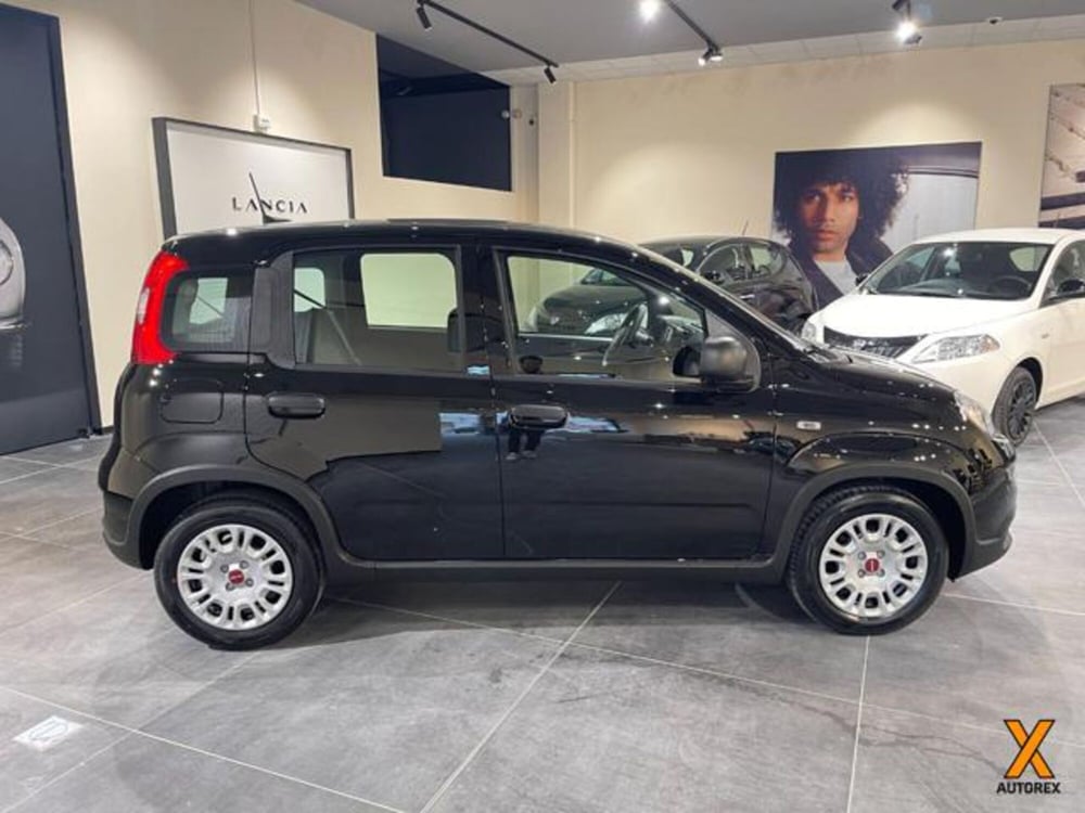 Fiat Panda nuova a Varese (5)