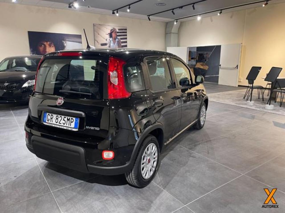 Fiat Panda nuova a Varese (6)
