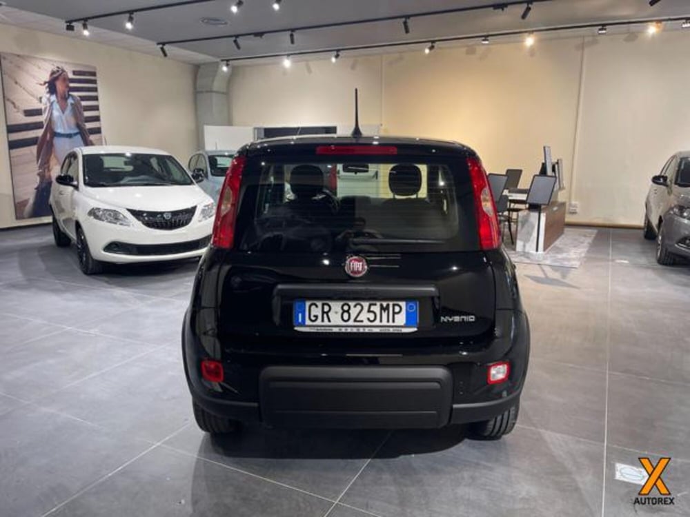 Fiat Panda nuova a Varese (7)