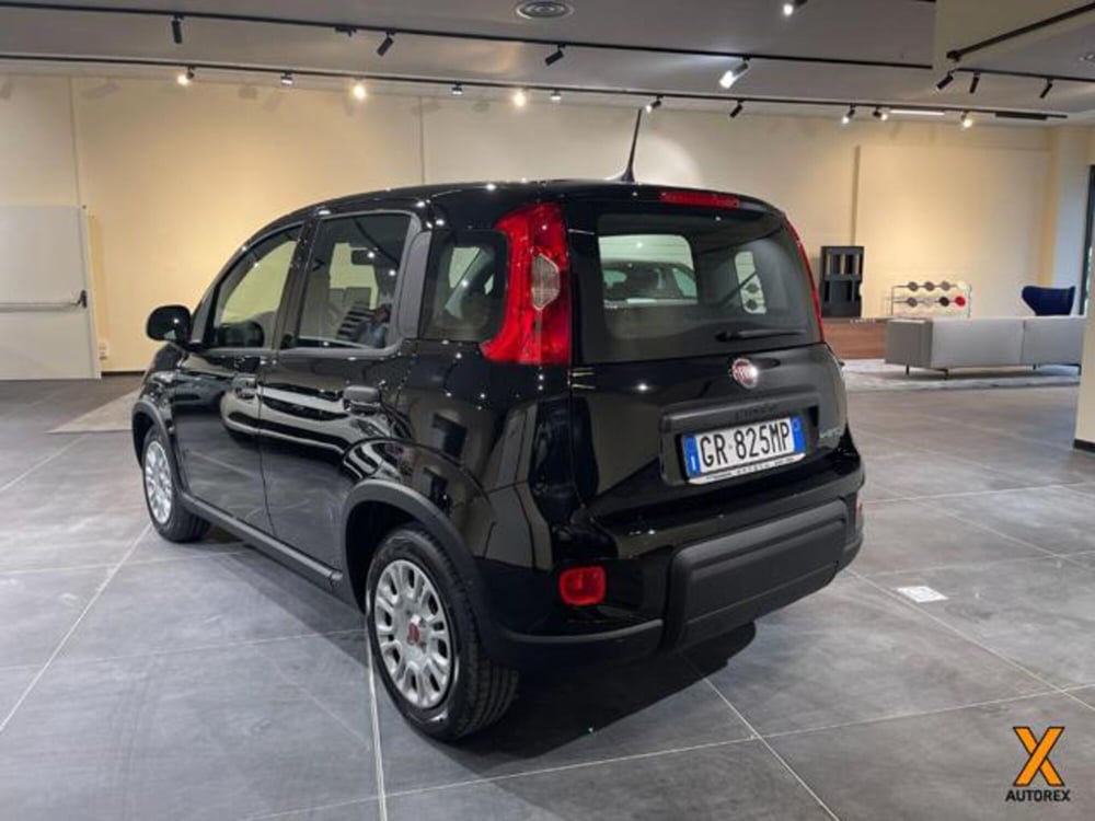 Fiat Panda nuova a Varese (8)