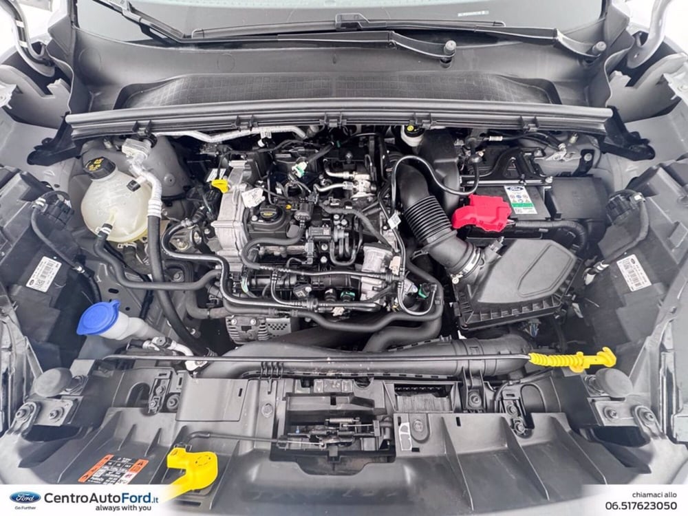 Ford Puma usata a Roma (12)