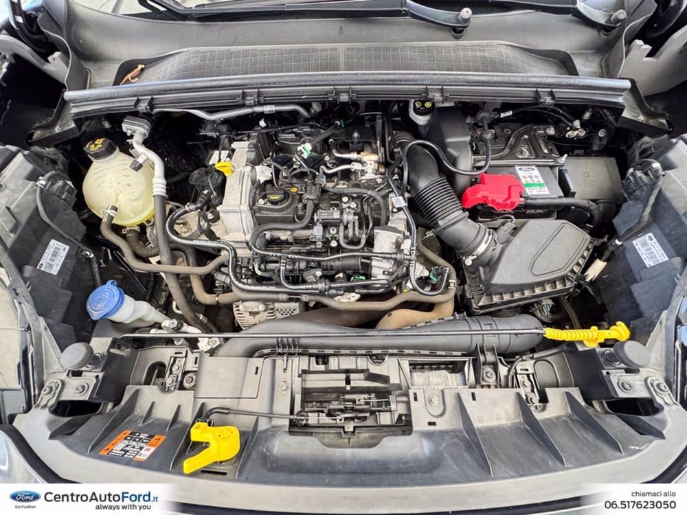 Ford Puma usata a Roma (12)