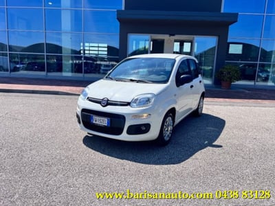 Fiat Panda 1.3 MJT S&amp;S Easy Van 4 posti del 2019 usata a Pieve di Soligo