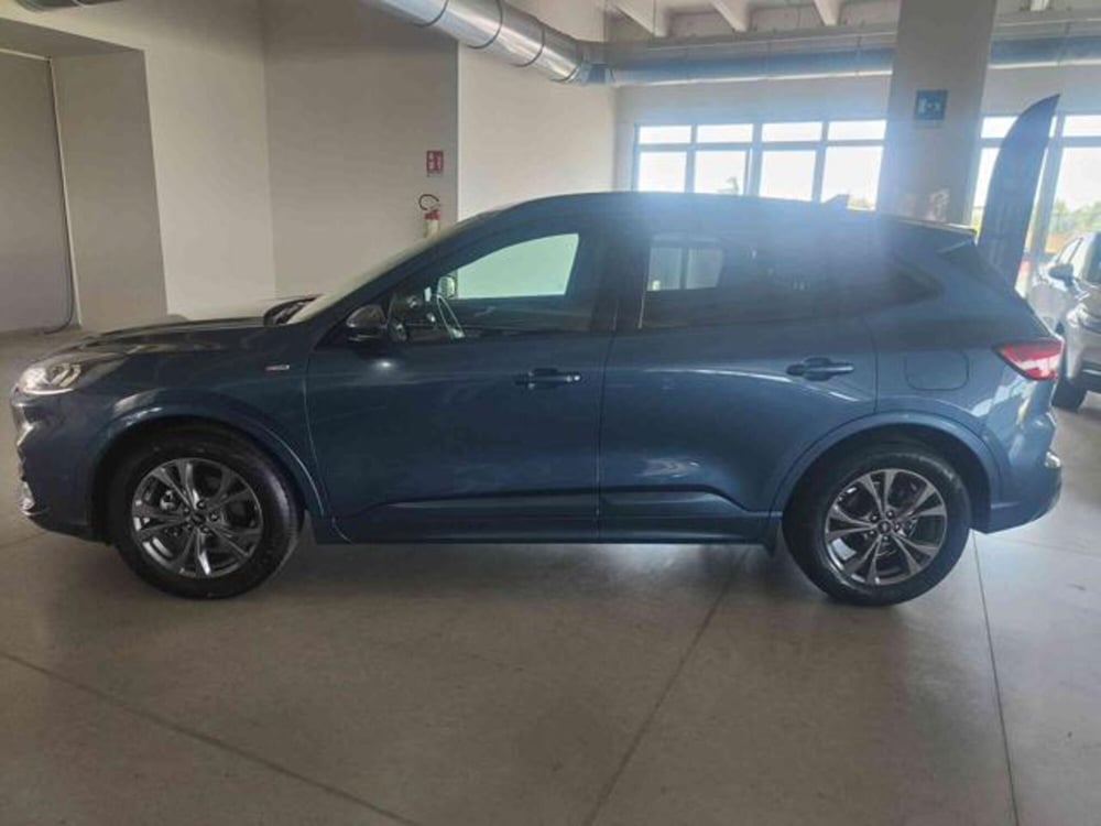 Ford Kuga usata a Bologna (16)
