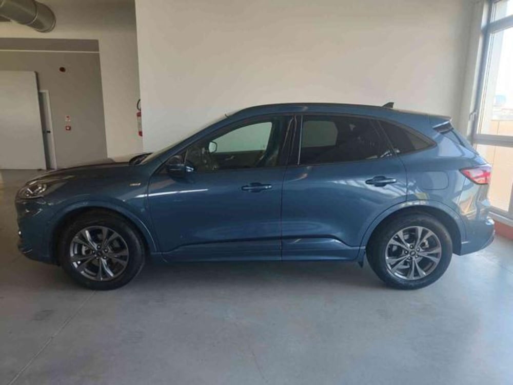 Ford Kuga usata a Bologna (2)