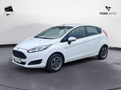 Ford Fiesta 1.0 80CV 5 porte del 2015 usata a Villorba