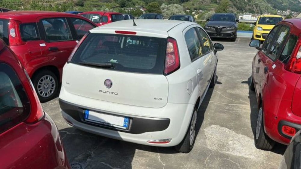 Fiat Punto Evo usata a Sondrio (3)