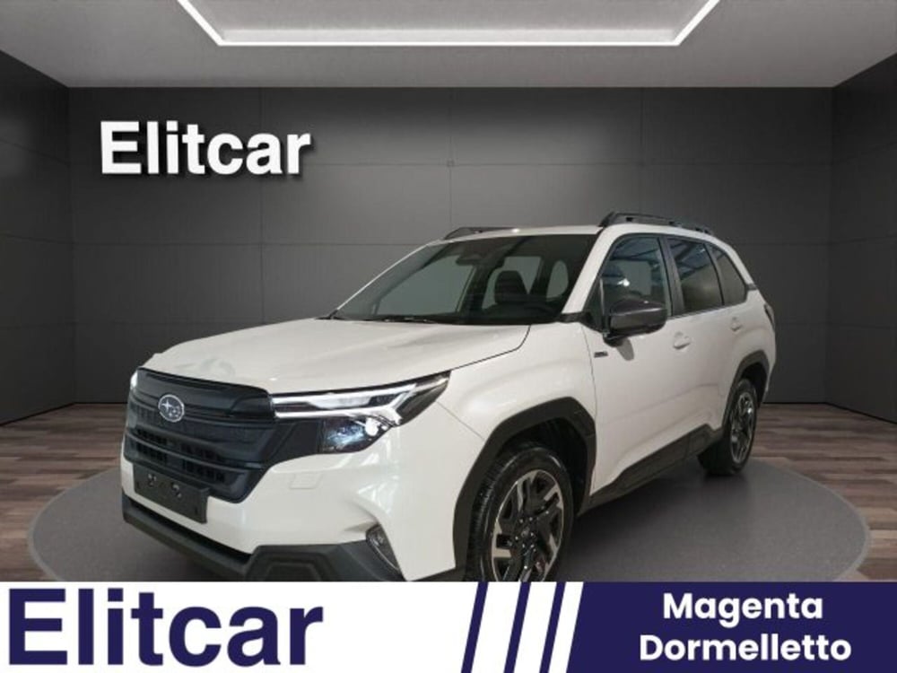 Subaru Forester nuova a Novara