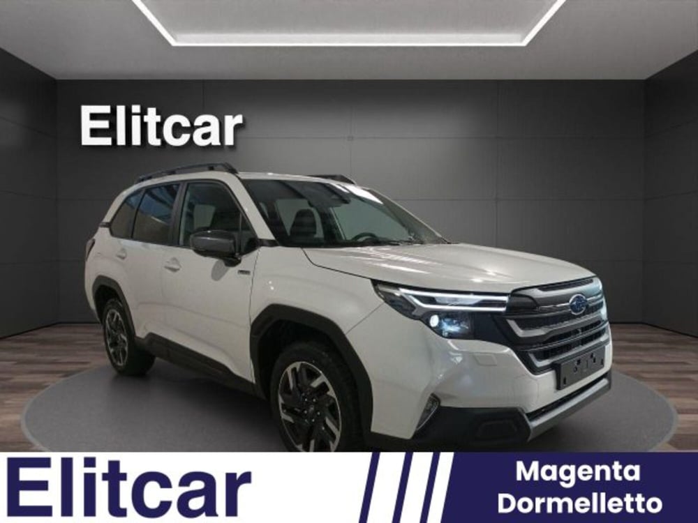 Subaru Forester nuova a Novara (2)