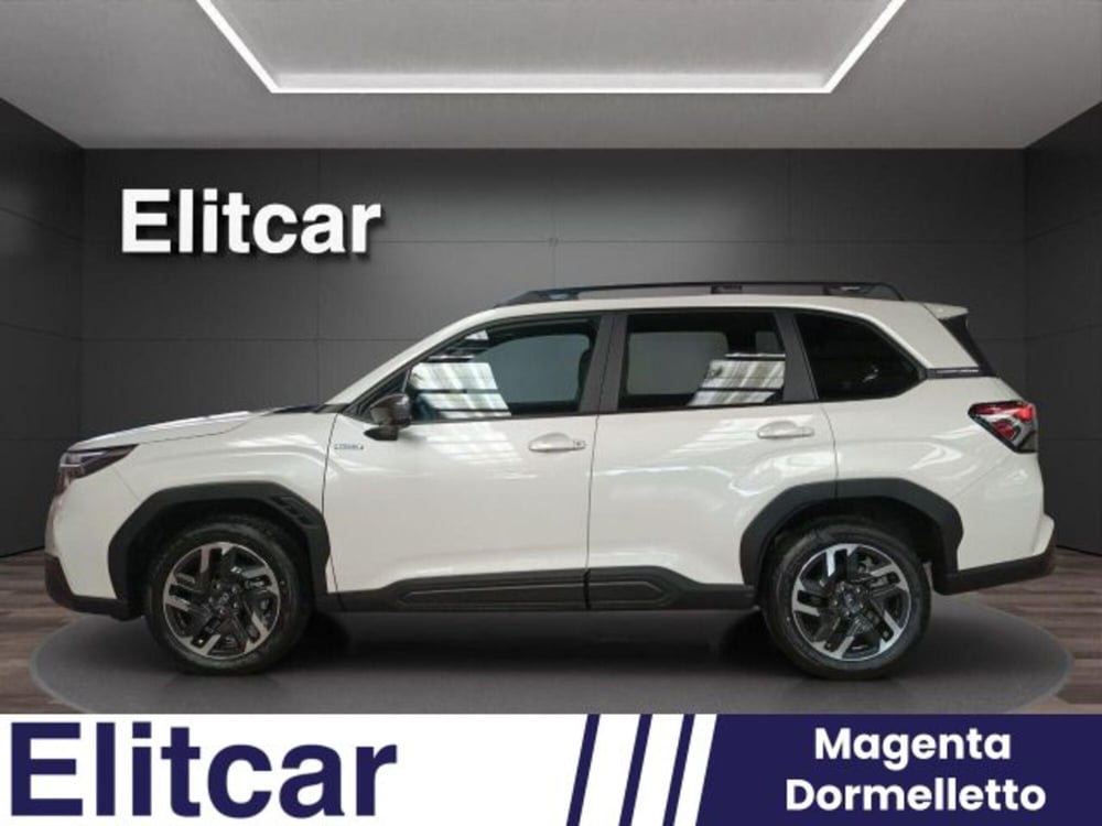 Subaru Forester nuova a Novara (3)