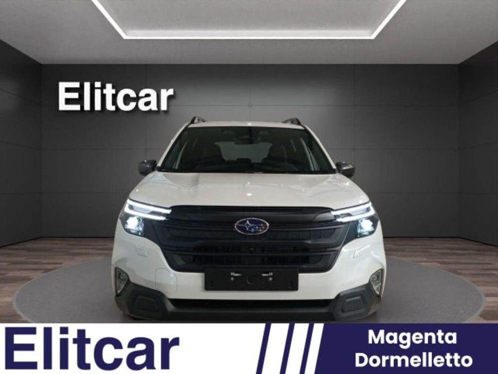 Subaru Forester nuova a Novara (4)
