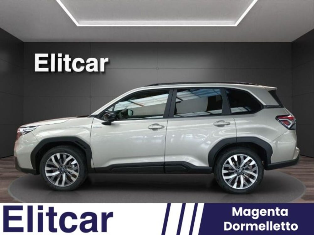 Subaru Forester nuova a Novara (17)
