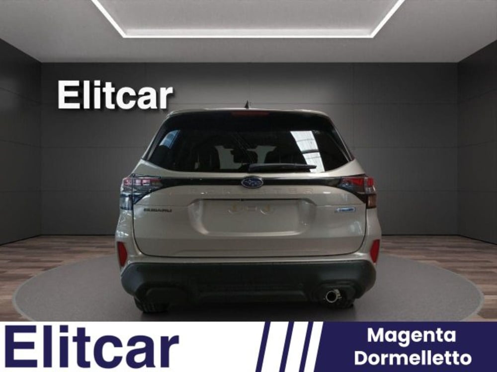 Subaru Forester nuova a Novara (5)