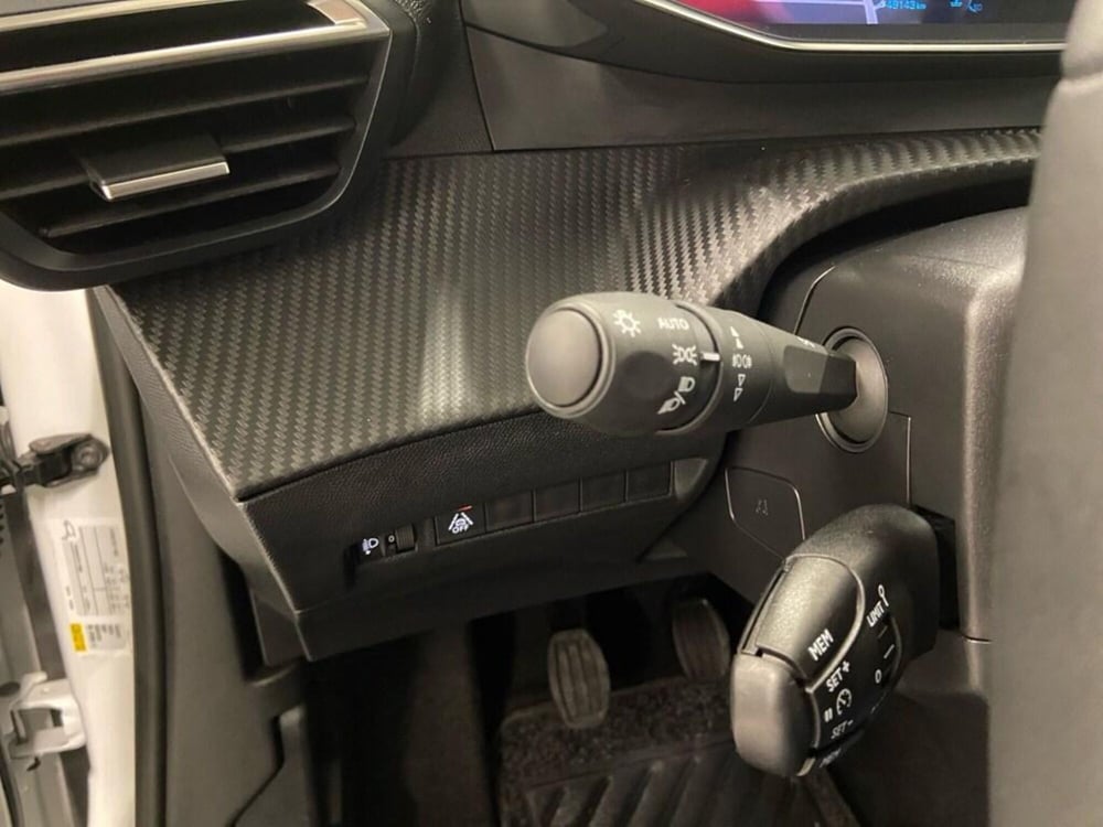 Peugeot 2008 usata a Torino (12)