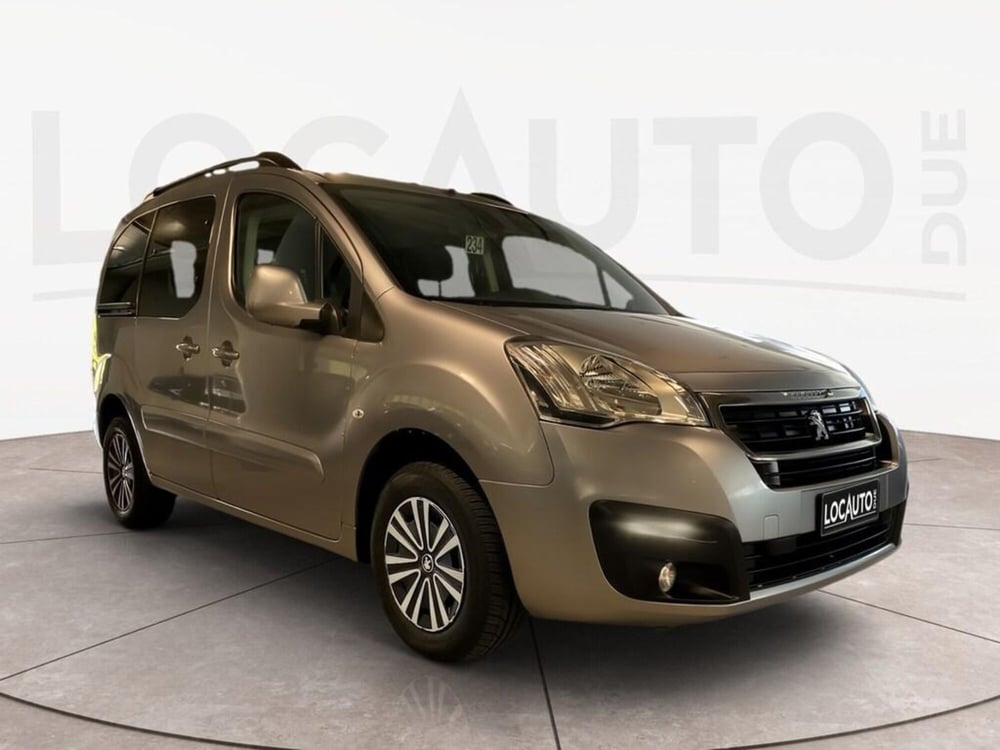 Peugeot Partner Telaio usata a Torino (2)