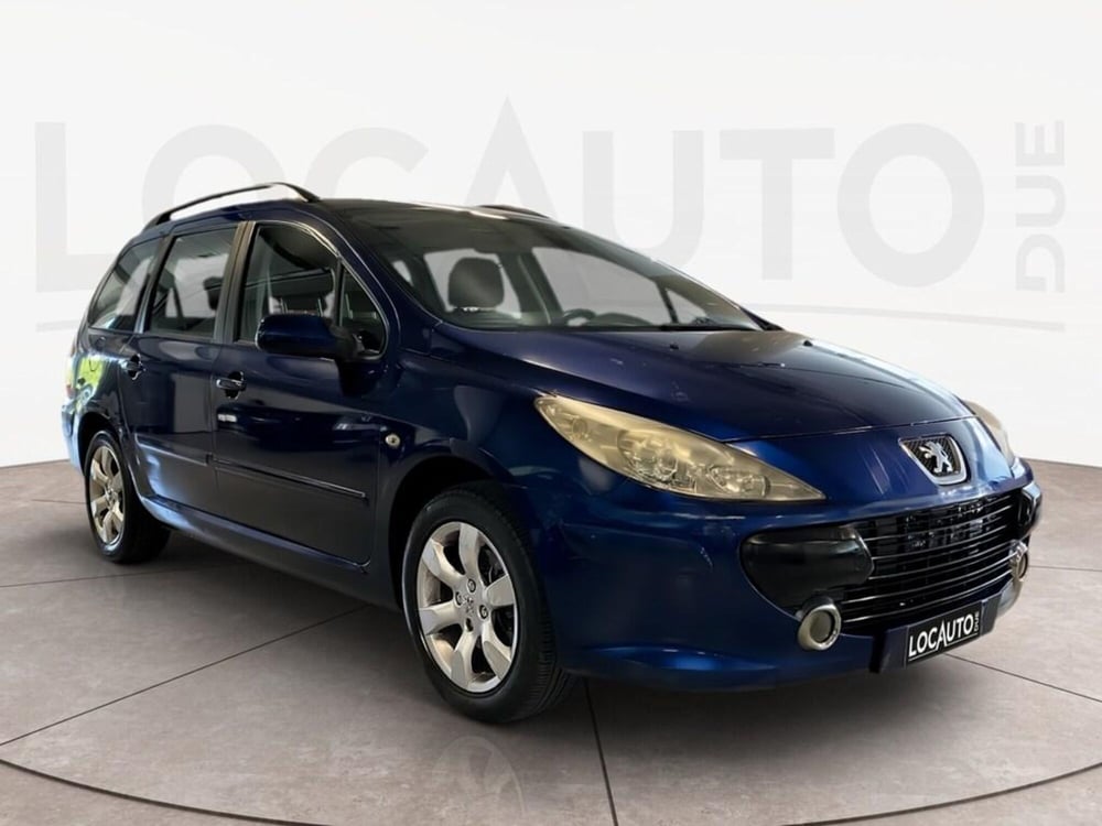 Peugeot 307 SW usata a Torino (2)