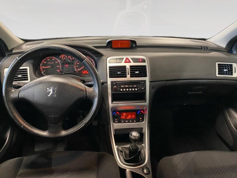 Peugeot 307 SW usata a Torino (5)