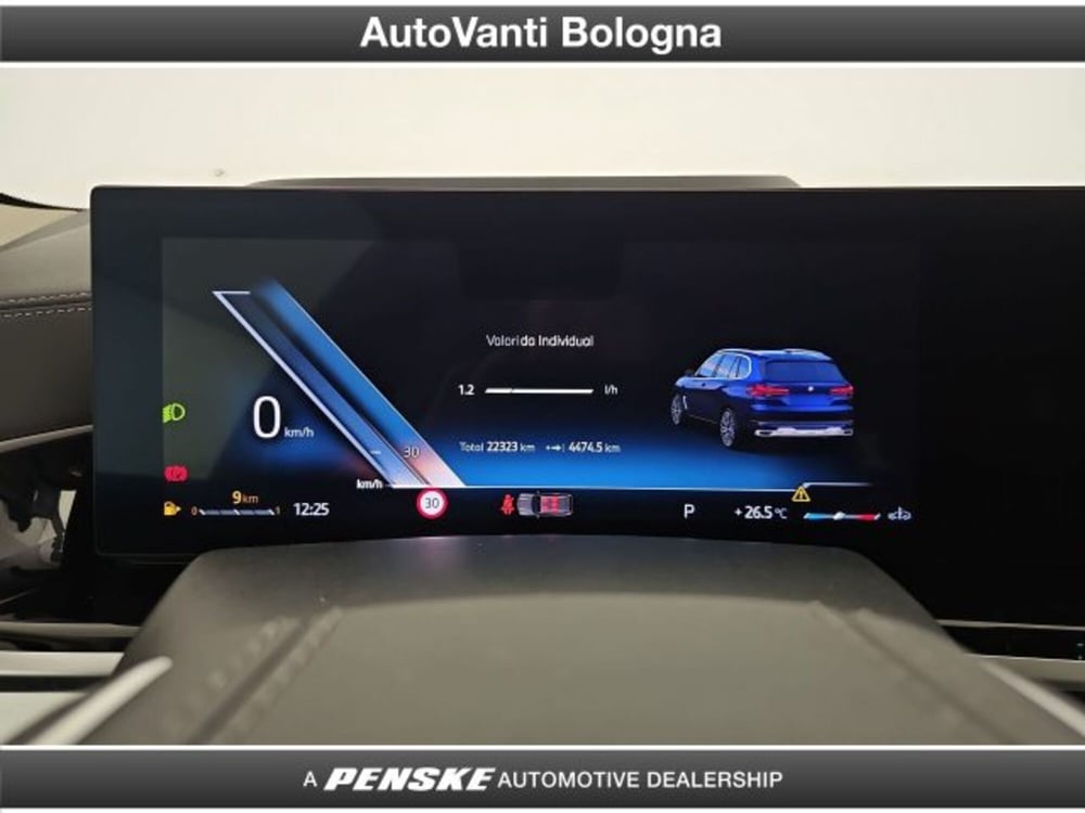 BMW X5 usata a Bologna (15)