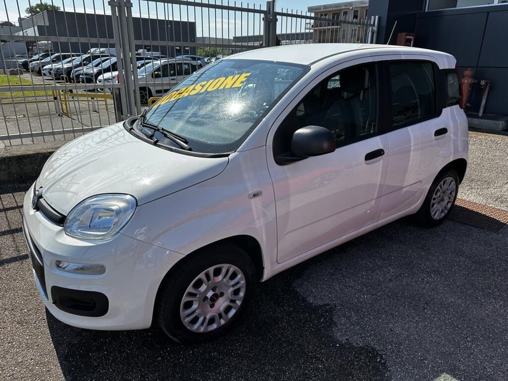 Fiat Panda usata a Torino