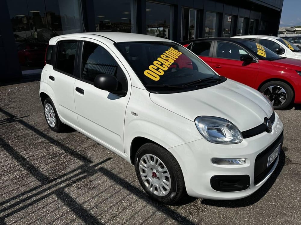 Fiat Panda usata a Torino (2)