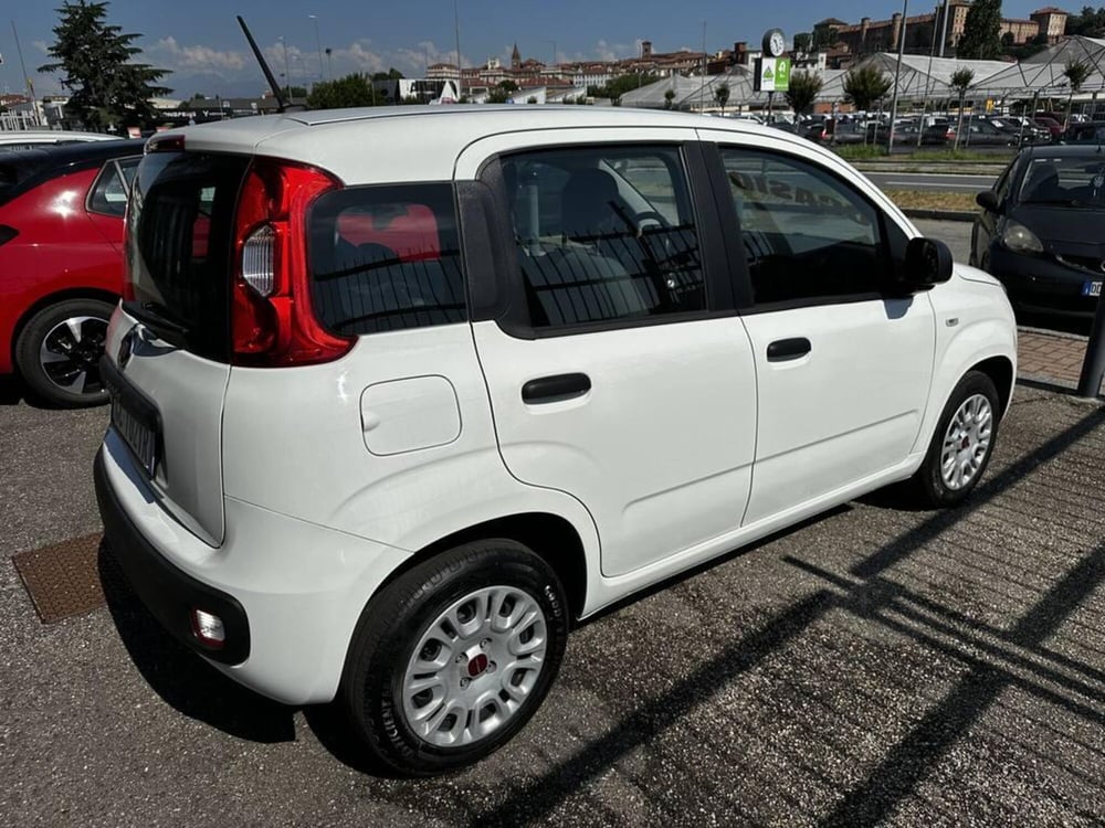 Fiat Panda usata a Torino (3)