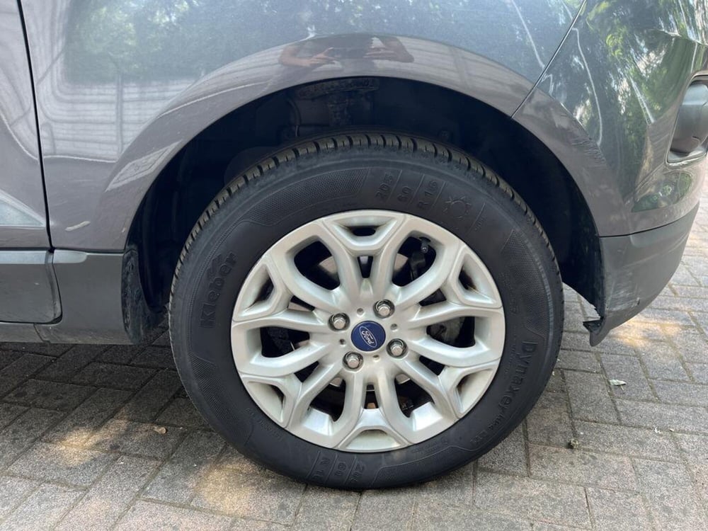Ford EcoSport usata a Alessandria (9)