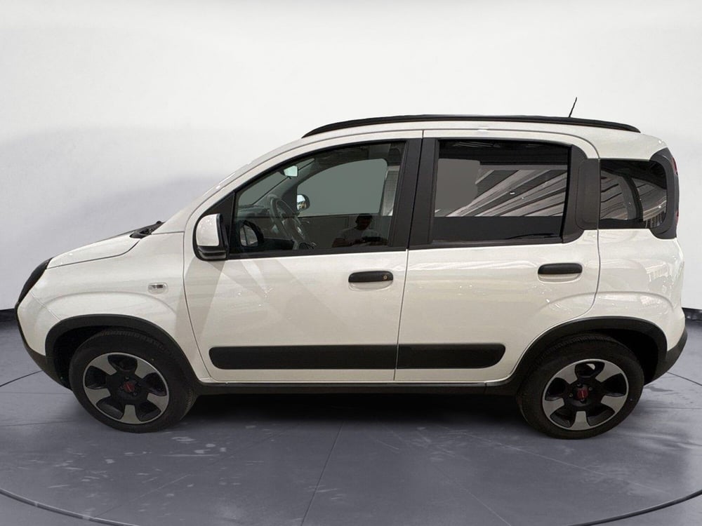 Fiat Panda usata a Caltanissetta (3)