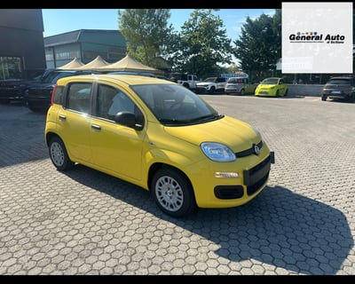 Fiat Panda 1.0 firefly hybrid s&amp;s 70cv nuova a Massarosa