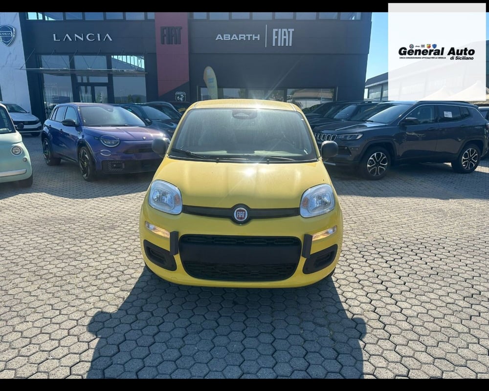 Fiat Panda nuova a Lucca (2)