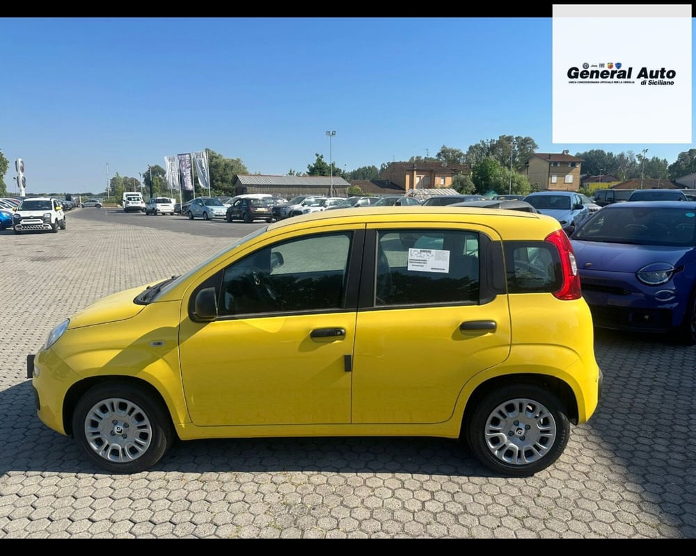 Fiat Panda nuova a Lucca (4)