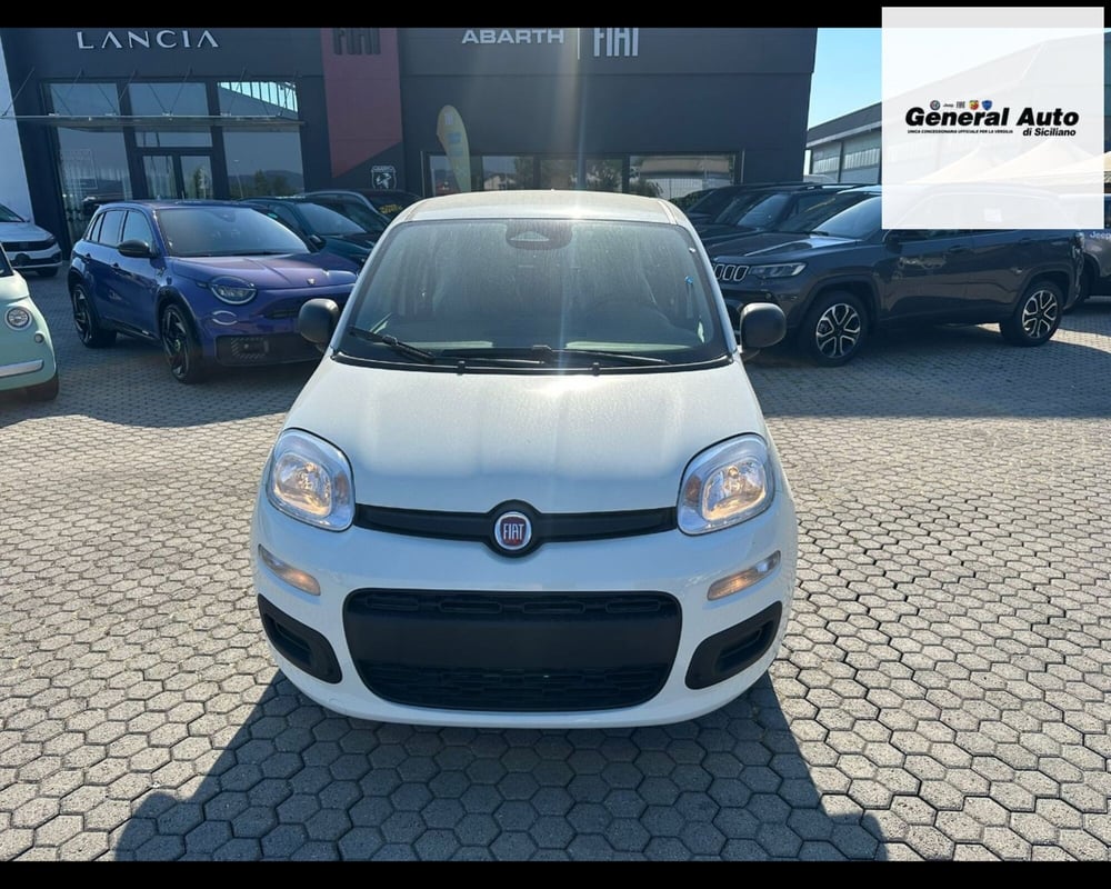 Fiat Panda nuova a Lucca (2)