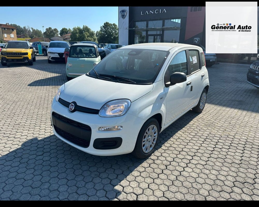 Fiat Panda nuova a Lucca (3)