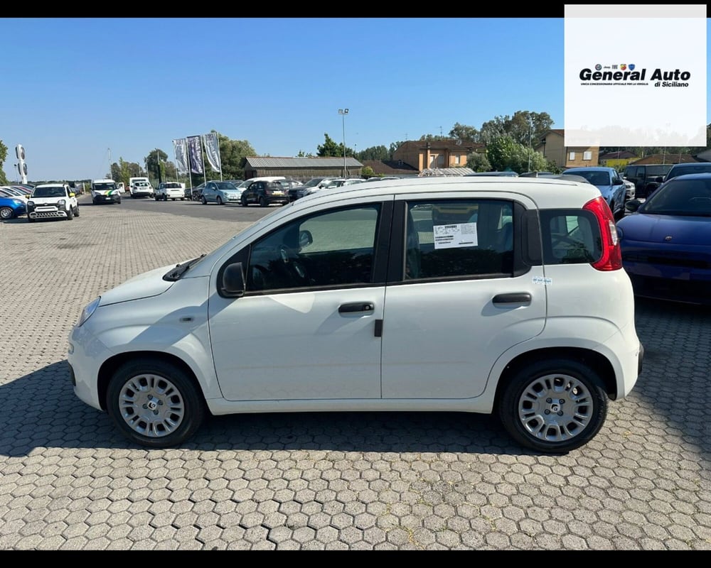 Fiat Panda nuova a Lucca (4)