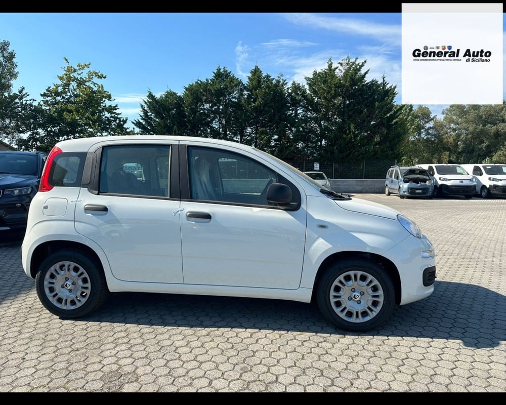 Fiat Panda nuova a Lucca (8)