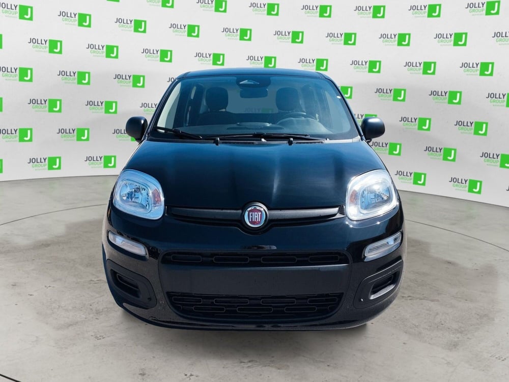 Fiat Panda nuova a Frosinone