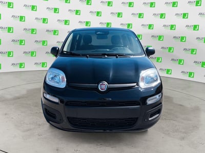 Fiat Panda 1.0 FireFly S&amp;S Hybrid City Cross nuova a Ceccano
