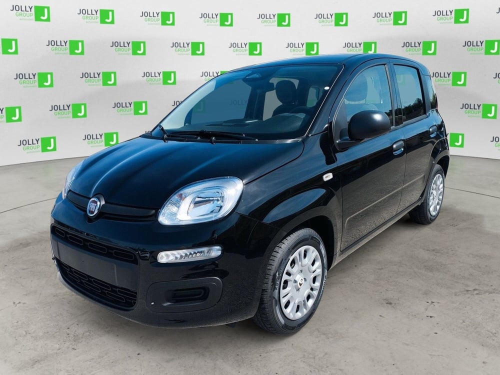 Fiat Panda nuova a Frosinone (2)